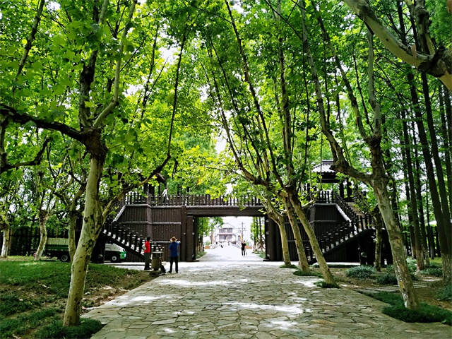 卓成網(wǎng)絡(luò)科技三國(guó)城景色.jpg