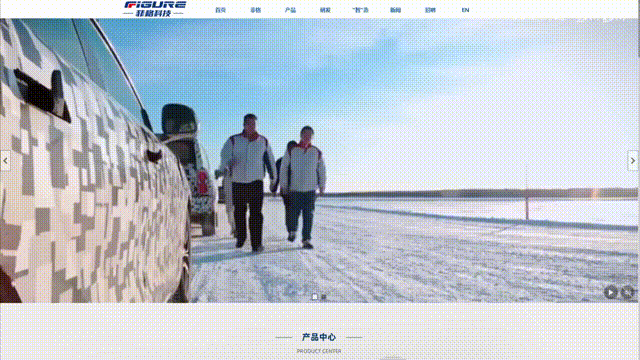 菲格 